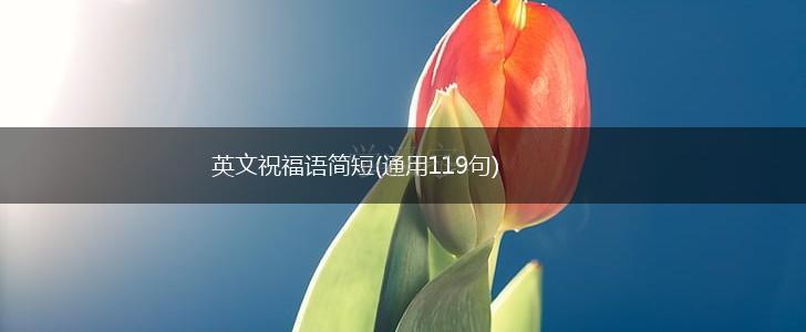 英文祝福语简短(通用119句),第1张