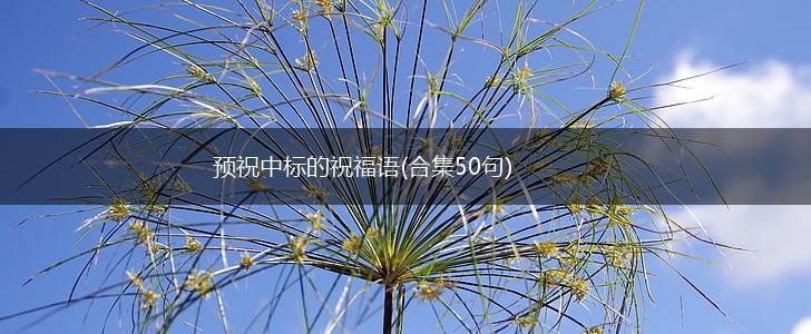 预祝中标的祝福语(合集50句),第1张