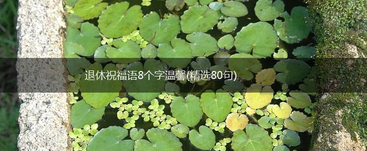 退休祝福语8个字温馨(精选80句),第1张