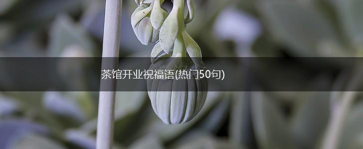 茶馆开业祝福语(热门50句),第1张