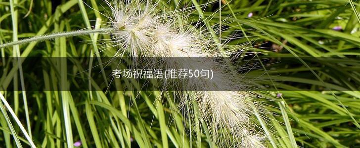 考场祝福语(推荐50句),第1张