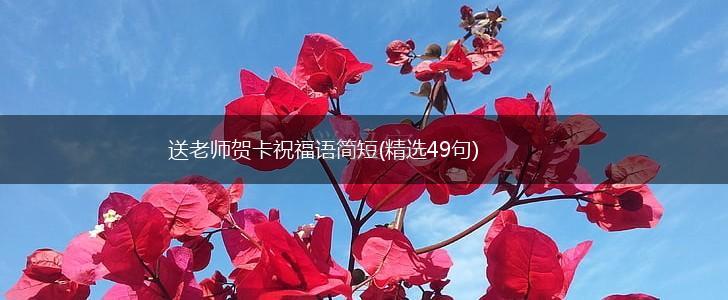 送老师贺卡祝福语简短(精选49句),第1张