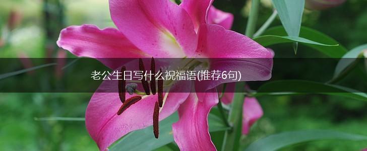 老公生日写什么祝福语(推荐6句),第1张