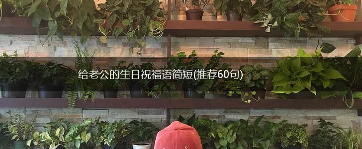 给老公的生日祝福语简短(推荐60句),第1张