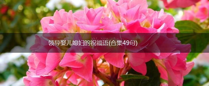 领导娶儿媳妇的祝福语(合集49句),第1张