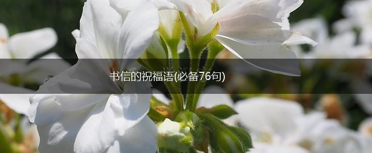 书信的祝福语(必备76句),第1张