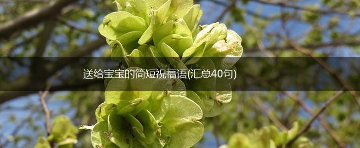 送给宝宝的简短祝福语(汇总40句),第1张