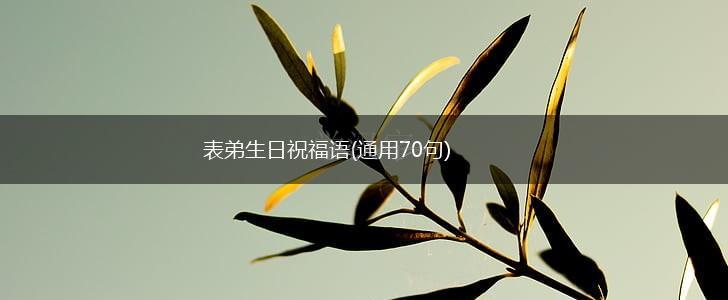 表弟生日祝福语(通用70句),第1张