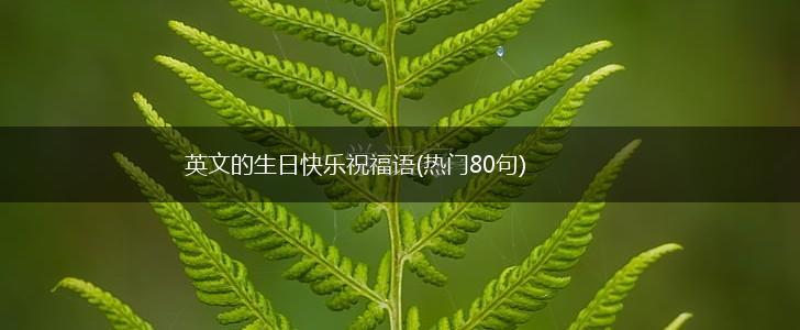 英文的生日快乐祝福语(热门80句),第1张