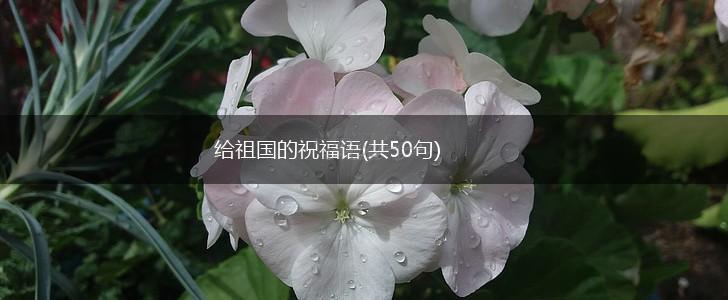 给祖国的祝福语(共50句),第1张