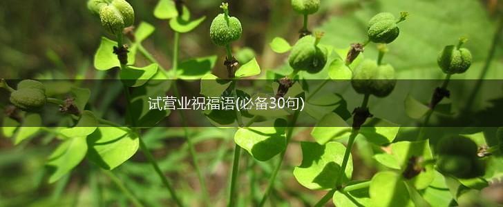 试营业祝福语(必备30句),第1张