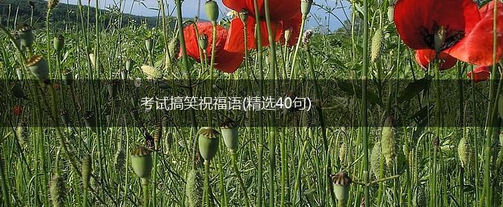 考试搞笑祝福语(精选40句),第1张