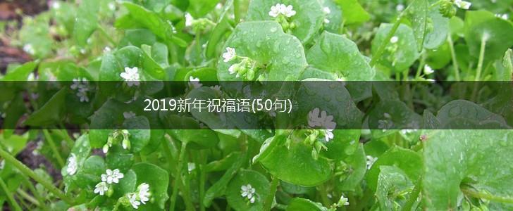 2019新年祝福语(50句),第1张