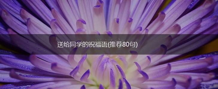 送给同学的祝福语(推荐80句),第1张