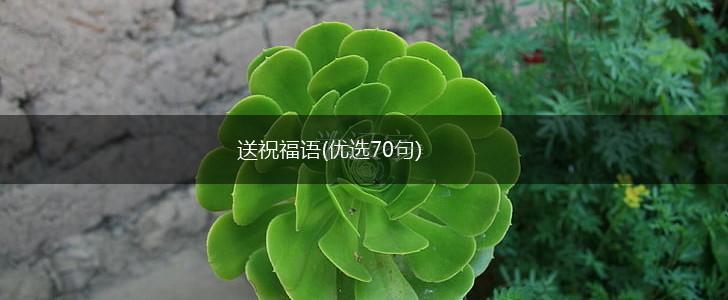 送祝福语(优选70句),第1张