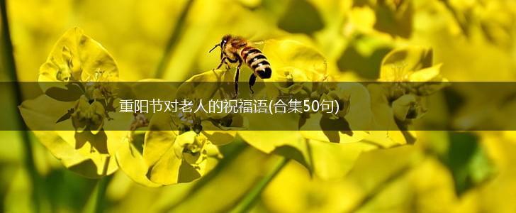 重阳节对老人的祝福语(合集50句),第1张