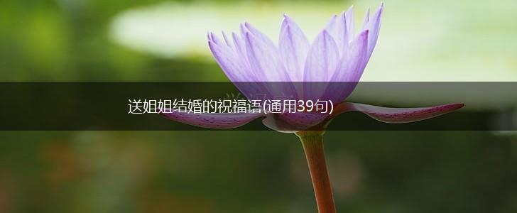 送姐姐结婚的祝福语(通用39句),第1张