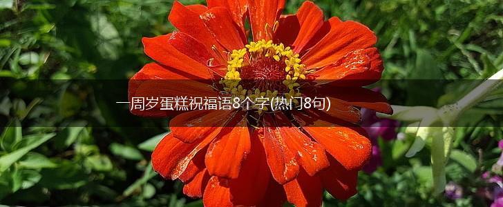 一周岁蛋糕祝福语8个字(热门8句),第1张