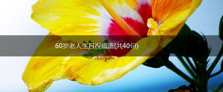 60岁老人生日祝福语(共40句),第1张