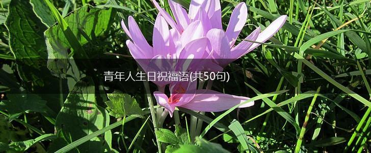 青年人生日祝福语(共50句),第1张