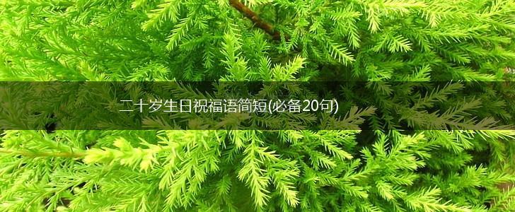 二十岁生日祝福语简短(必备20句),第1张