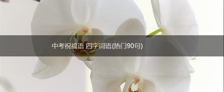 中考祝福语 四字词语(热门90句),第1张