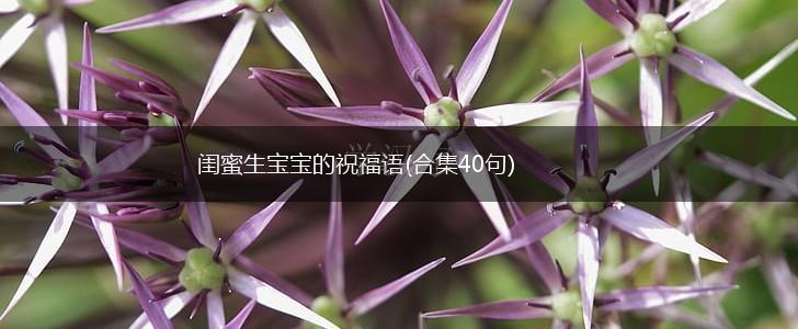 闺蜜生宝宝的祝福语(合集40句),第1张