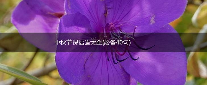 中秋节祝福语大全(必备40句),第1张