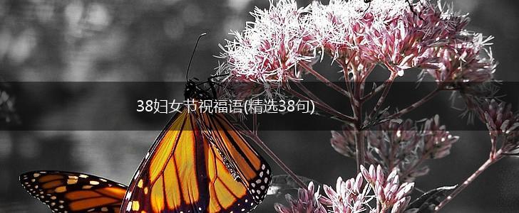 38妇女节祝福语(精选38句),第1张