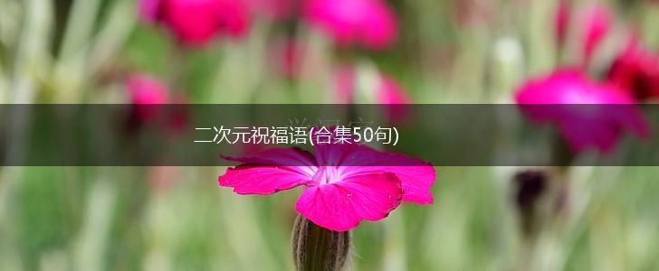 二次元祝福语(合集50句),第1张