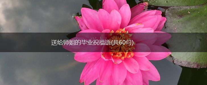 送给师姐的毕业祝福语(共60句),第1张