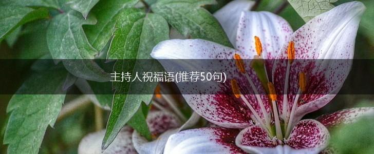 主持人祝福语(推荐50句),第1张