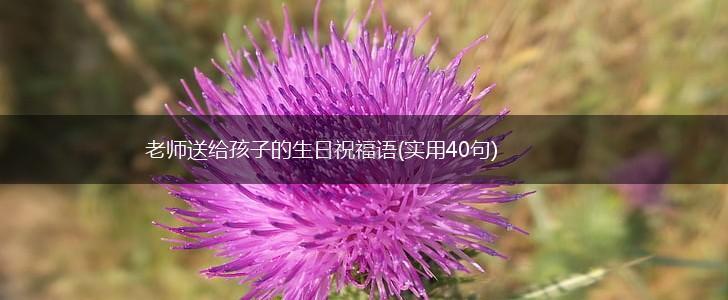 老师送给孩子的生日祝福语(实用40句),第1张