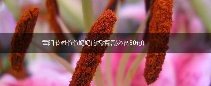 重阳节对爷爷奶奶的祝福语(必备50句),第1张