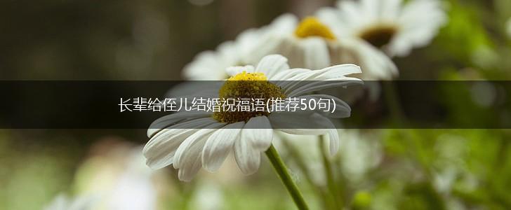 长辈给侄儿结婚祝福语(推荐50句),第1张