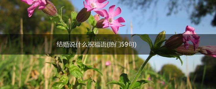 结婚说什么祝福语(热门59句),第1张