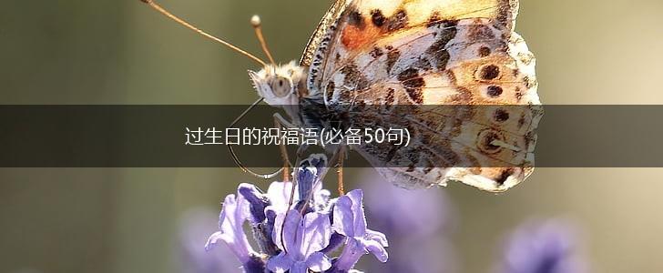 过生日的祝福语(必备50句),第1张