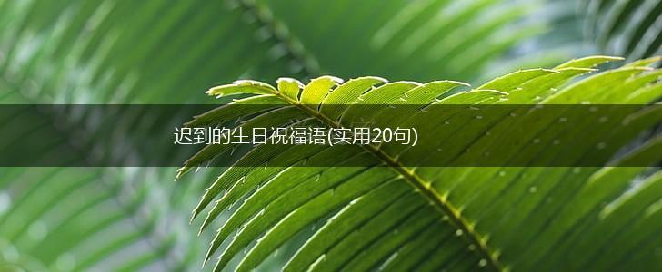 迟到的生日祝福语(实用20句),第1张