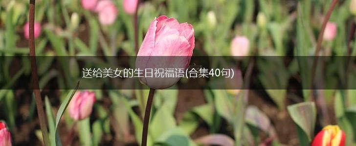 送给美女的生日祝福语(合集40句),第1张