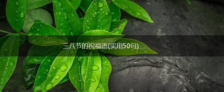 三八节的祝福语(实用50句),第1张