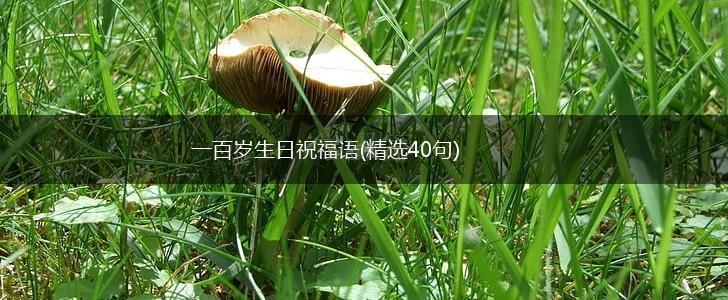 一百岁生日祝福语(精选40句),第1张