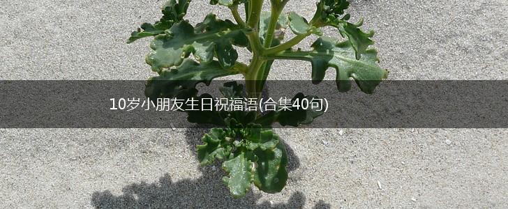 10岁小朋友生日祝福语(合集40句),第1张