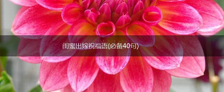 闺蜜出嫁祝福语(必备40句),第1张