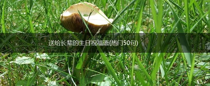 送给长辈的生日祝福语(热门50句),第1张