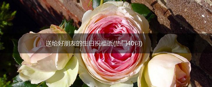 送给好朋友的生日祝福语(热门40句),第1张