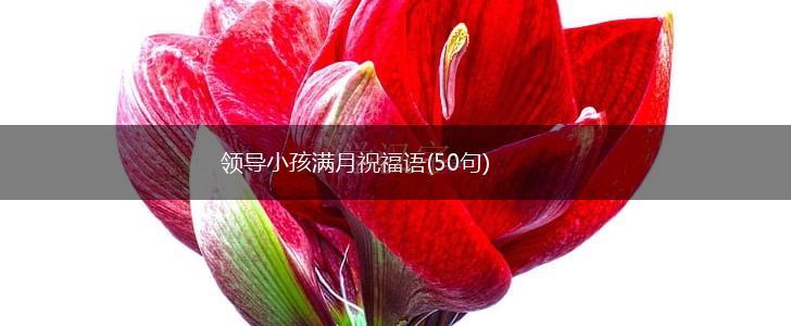 领导小孩满月祝福语(50句),第1张