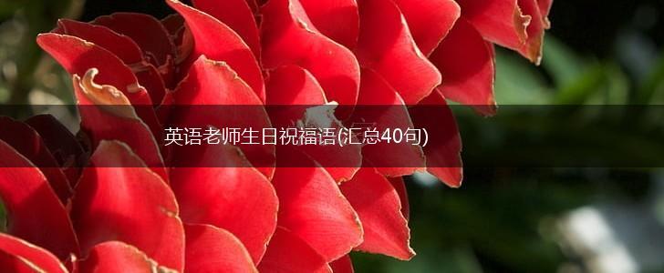 英语老师生日祝福语(汇总40句),第1张