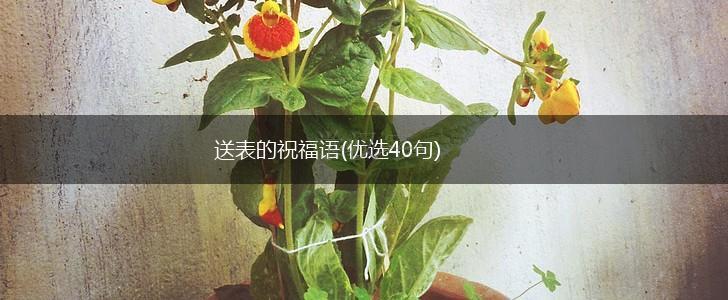 送表的祝福语(优选40句),第1张