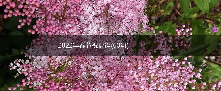 2022年春节祝福语(60句),第1张