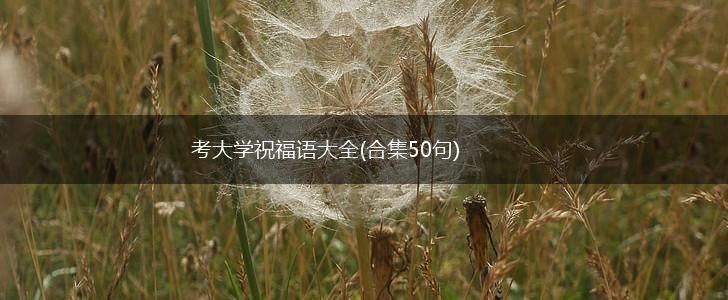 考大学祝福语大全(合集50句),第1张